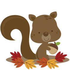 Free Squirrel Pictures Graphics Illustrations Free Download Clipart
