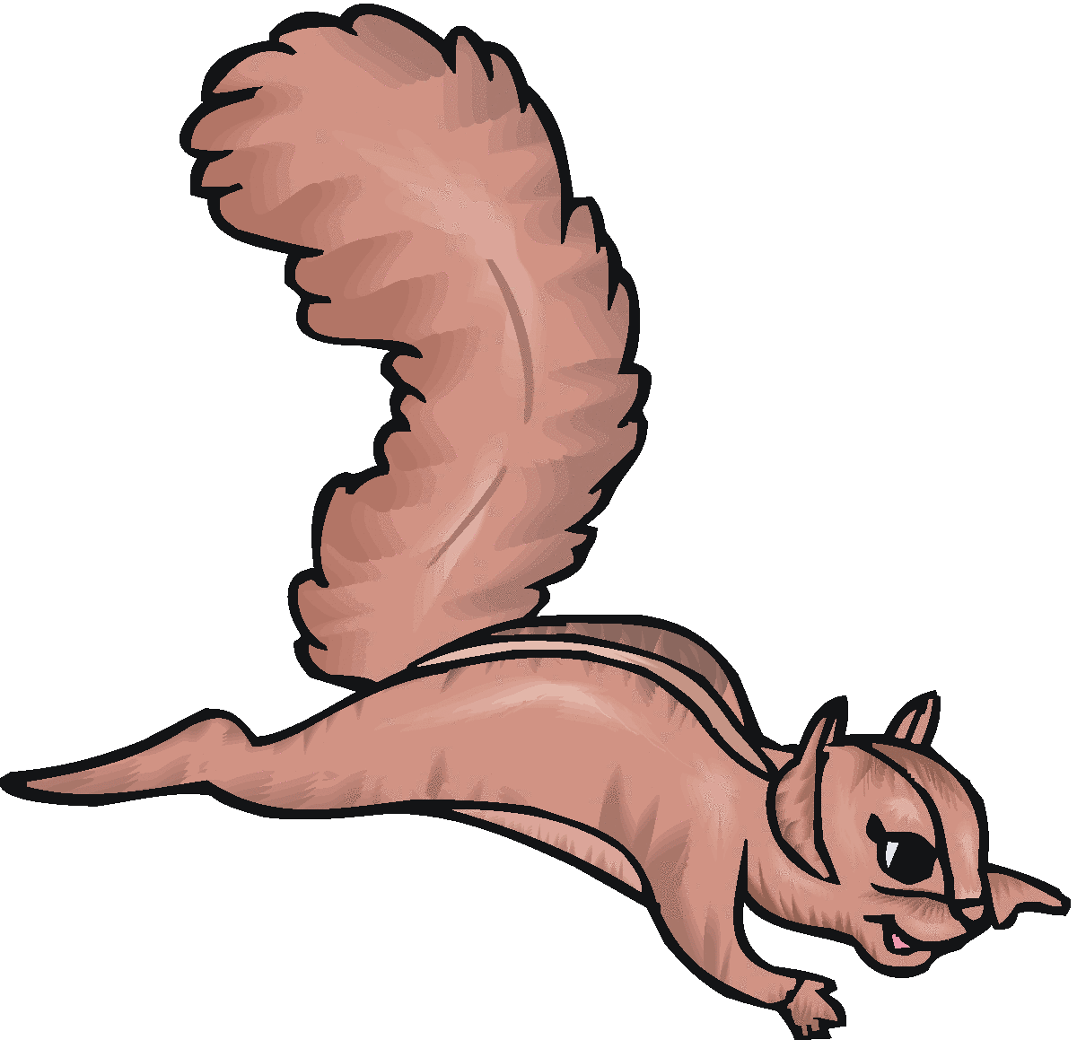 Squirrel 9 Png Image Clipart