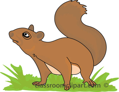 Squirrel Vector Images Hd Photos Clipart