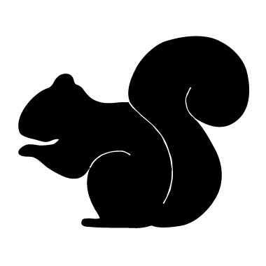 Squirrel To Use Hd Image Clipart