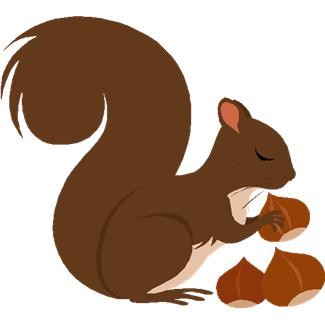Squirrel Image Png Clipart