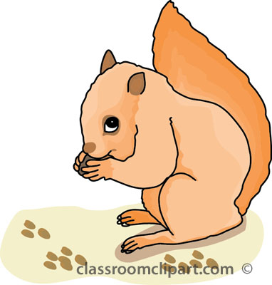 Squirrel Free Download Png Clipart