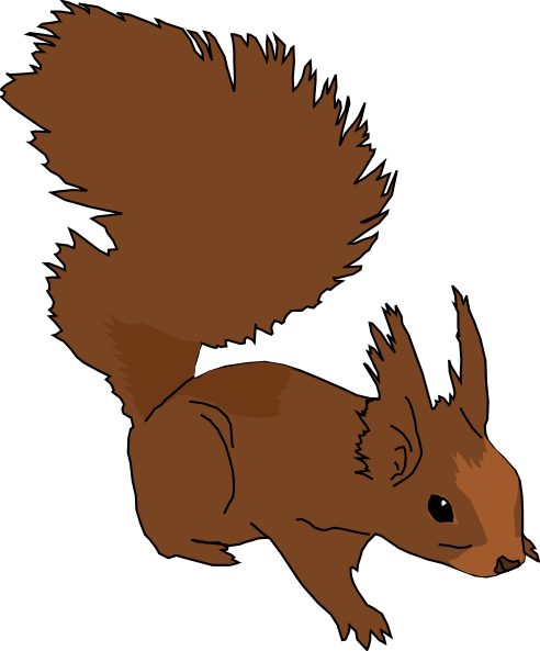 Squirrel For You Hd Photo Clipart