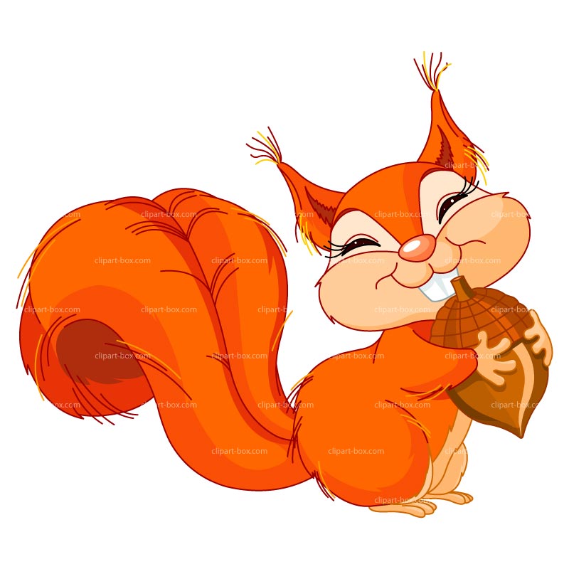 Squirrel Download Png Clipart