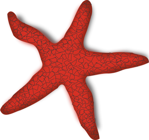 Of Red Starfish Clipart