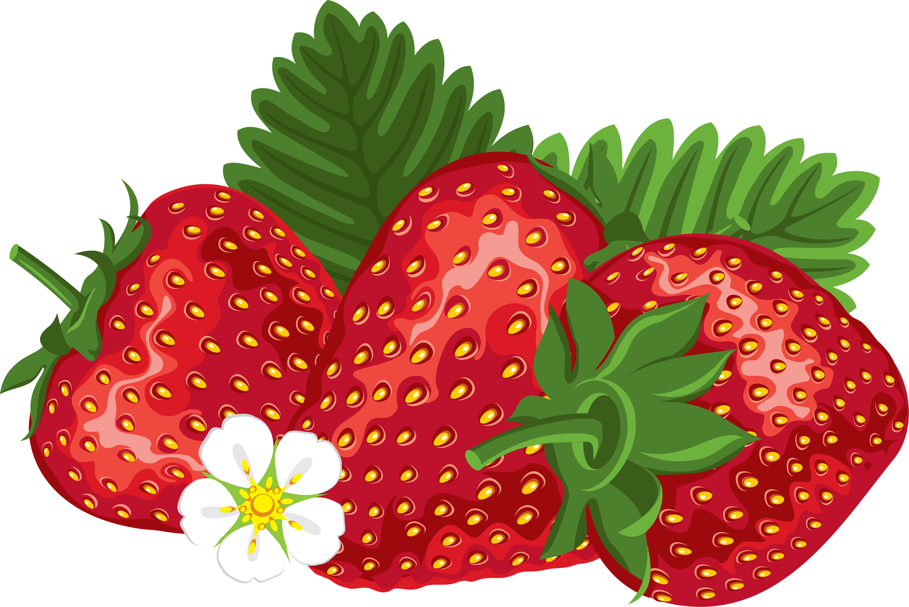 Strawberry Farmer Strawberries Images Image Free Download Png Clipart