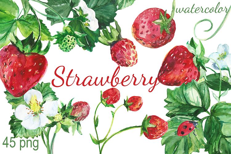 Watercolor Strawberry By Dolly Design Bundles Clipart