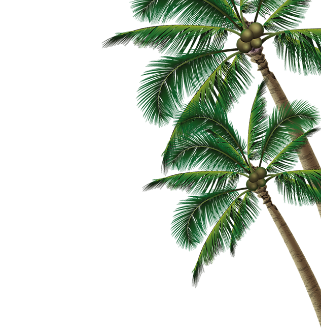 Summer Coconut Beach Tree Poster Free Clipart HQ Clipart