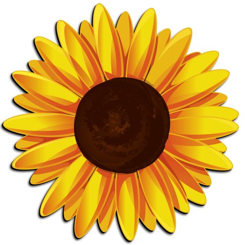 Sunflower 1 Com Free Download Clipart