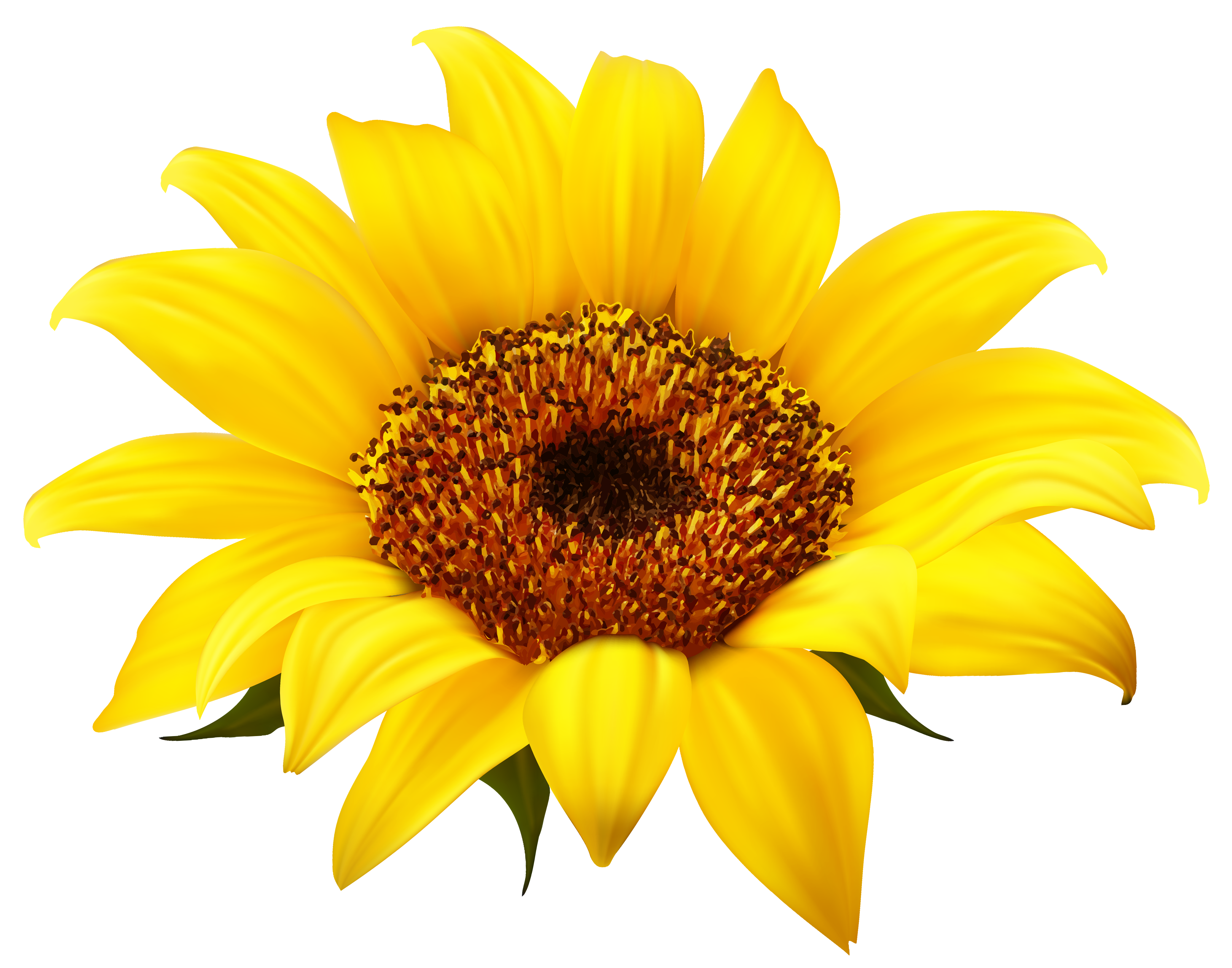 Happy Sunflower Images Transparent Image Clipart