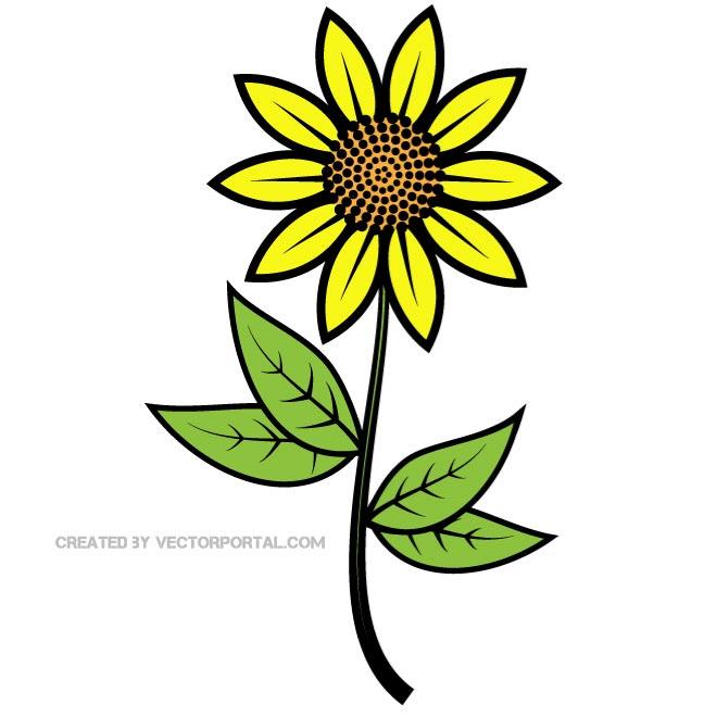 Sunflower Vector Freevectors Hd Image Clipart