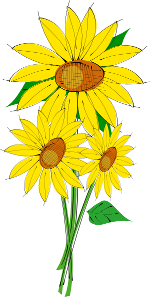 Sunflower Border Images Png Image Clipart