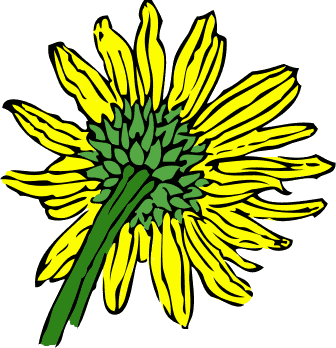 Happy Sunflower Images Transparent Image Clipart