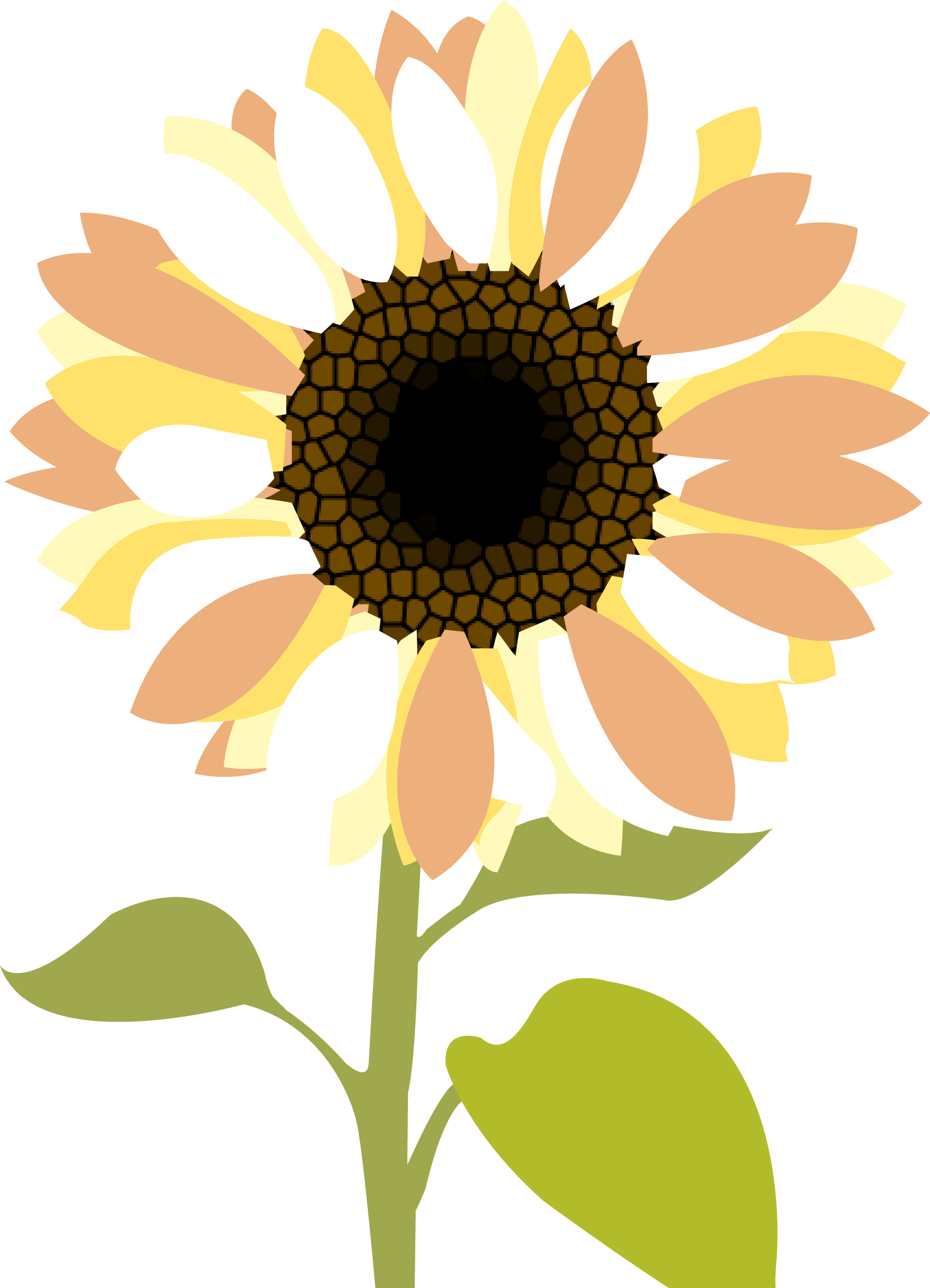 Sunflower Christian Image Png Clipart
