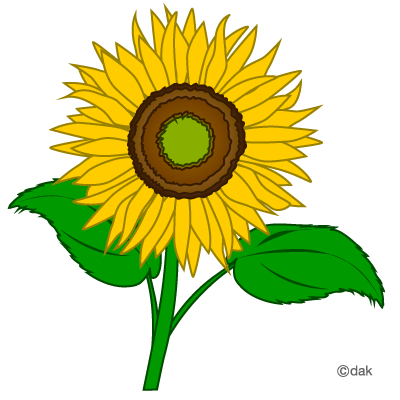 Sunflower Microsoft Transparent Image Clipart