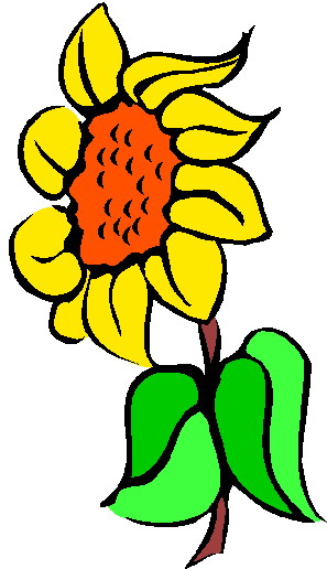 Sunflower Financial Images Hd Image Clipart