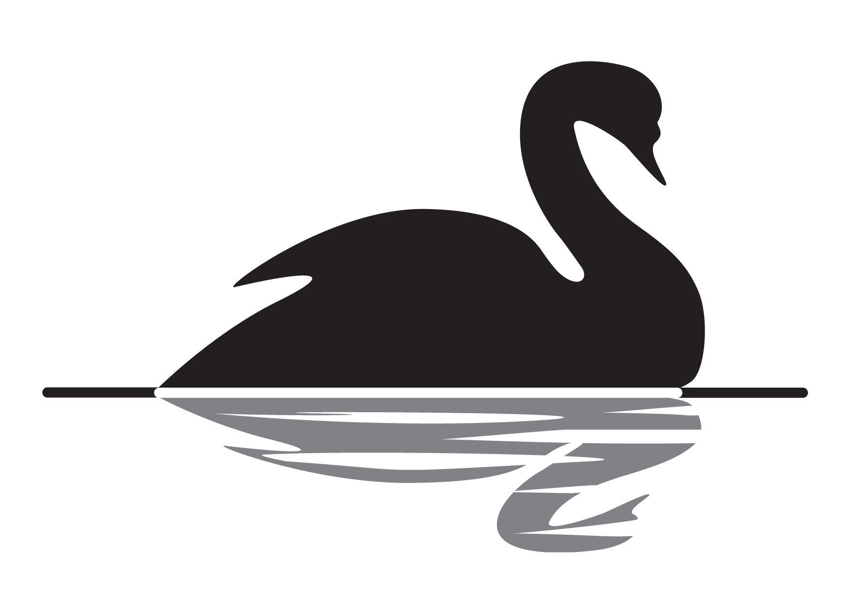 Black Swan Hd Photo Clipart