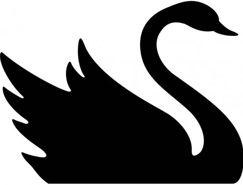 Black Swan Image Png Clipart
