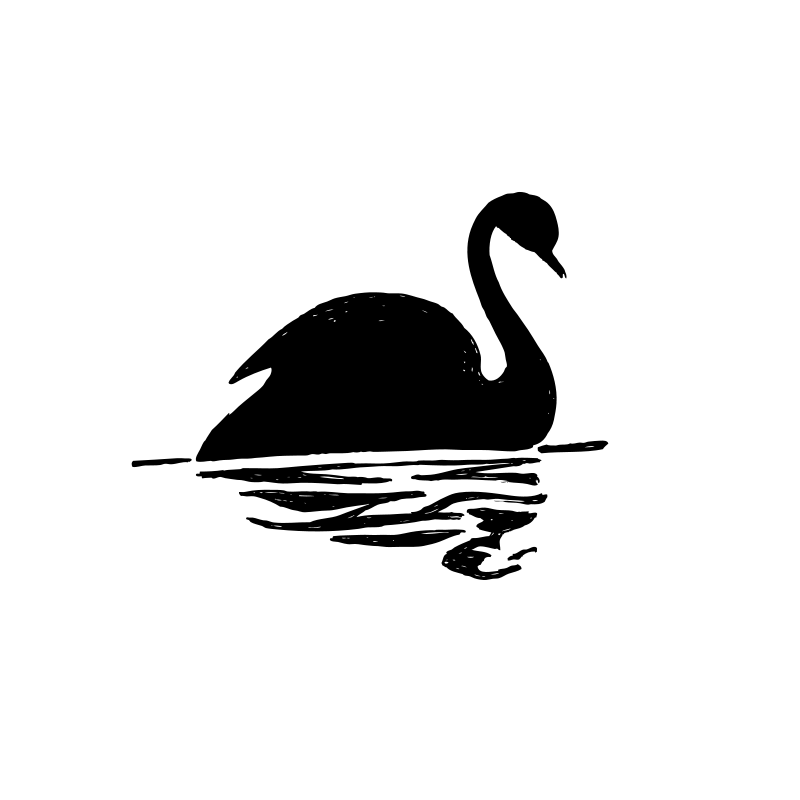 Black Swan Black Swan Fans Png Image Clipart