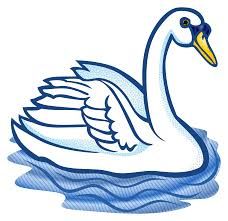 Swan Images About Cisnes On Lakes Spring Clipart