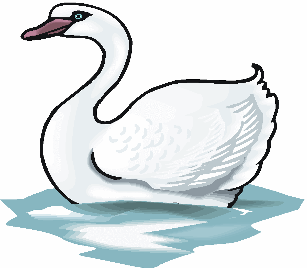Swan Images Hd Photos Clipart