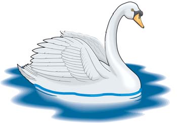 Cute Swan Download Png Clipart