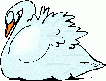 Swan Hostted Hd Photo Clipart