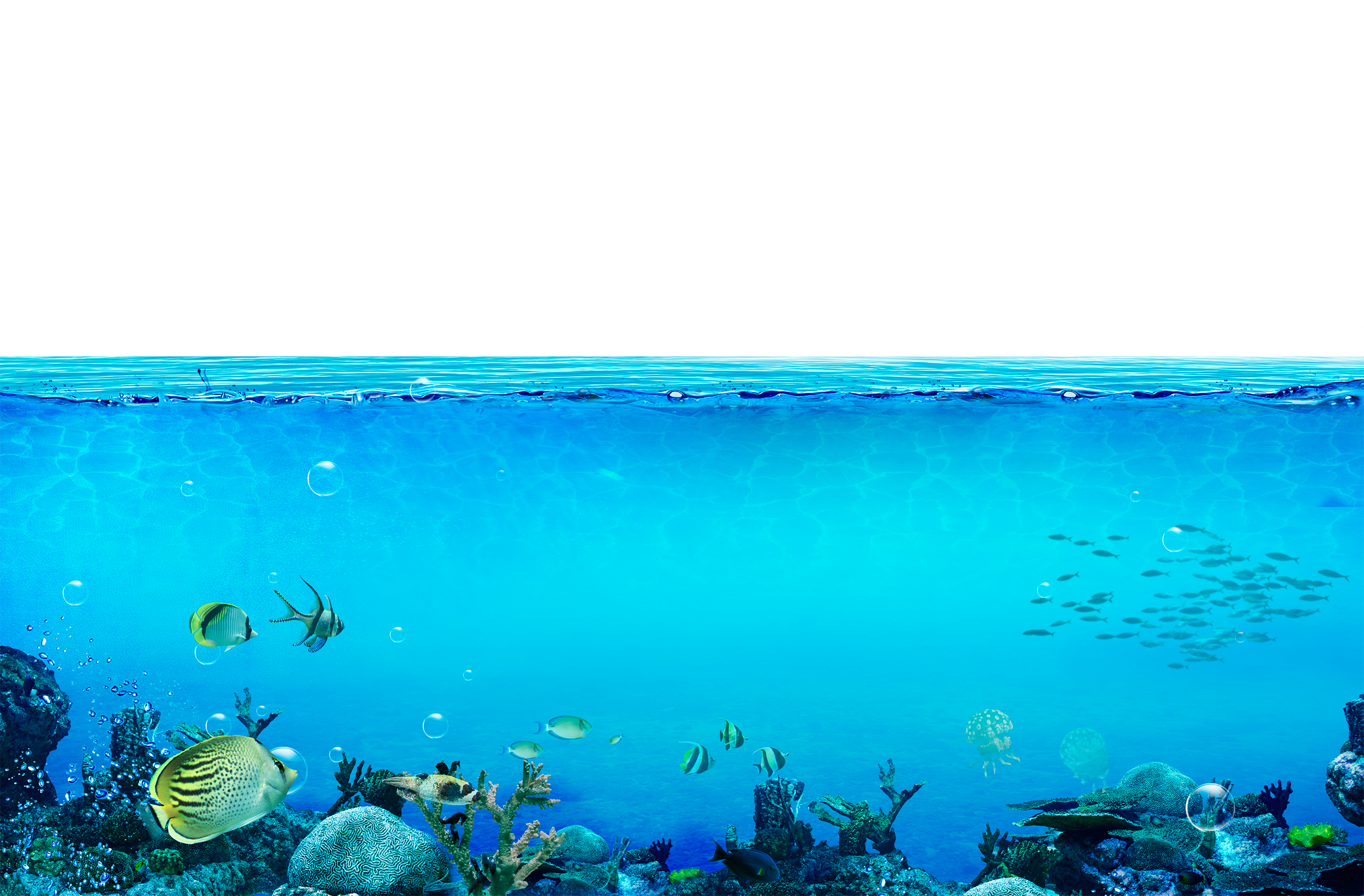 Underwater The Wallpaper Sea World HD Image Free PNG Clipart