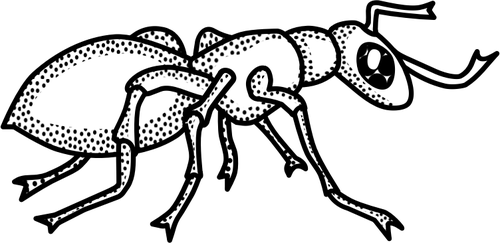 Of Black And White Spotty Ant Clipart