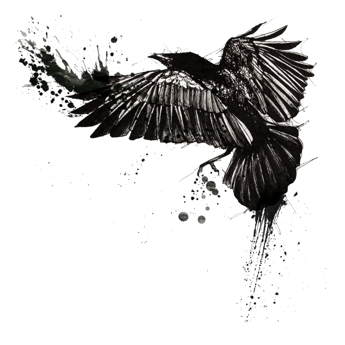 Tattoo Crow Polka Common Trash Raven Clipart