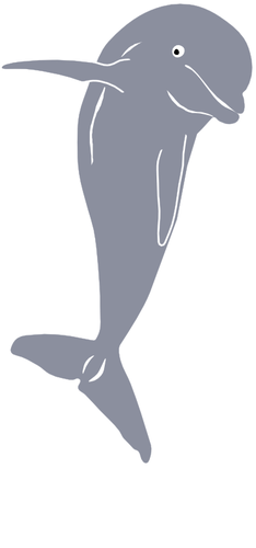 Dolphin Jumping Clipart