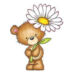 Clip Art On Bears Bear Pictures And Clipart