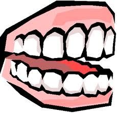 Free Tooth Images Transparent Image Clipart