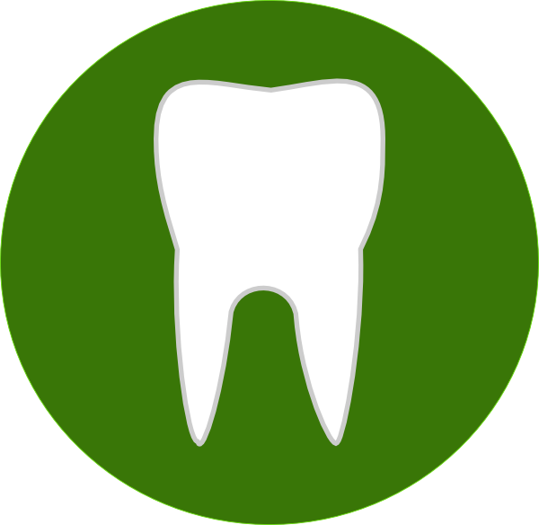 Dental Tooth At Vector Png Image Clipart