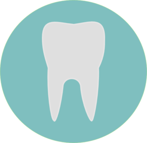 Tooth Recherche Google Tooth Clipart Clipart