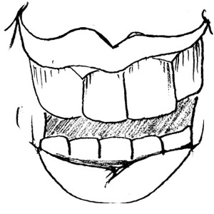 Tooth Hd Photo Clipart