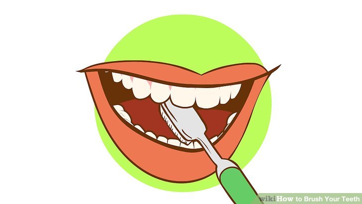 Brush Teeth How To Brush Your Teeth Clipart