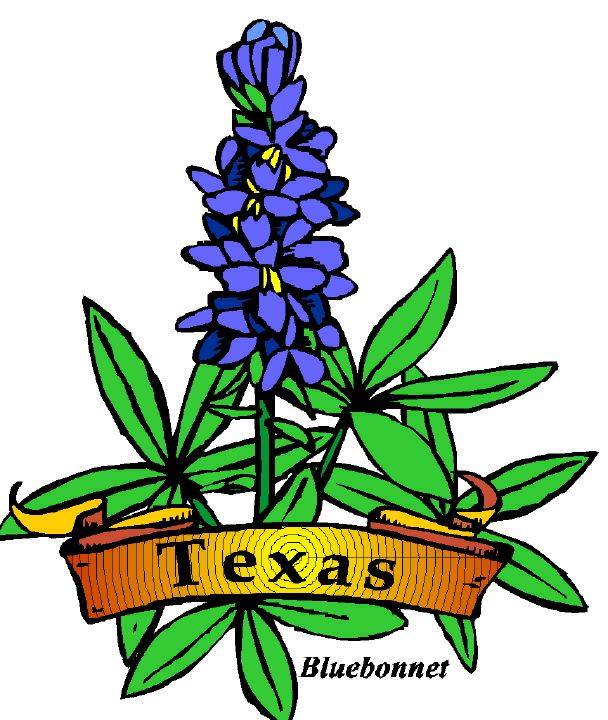Texas Texas Symbols That You Can Clipart