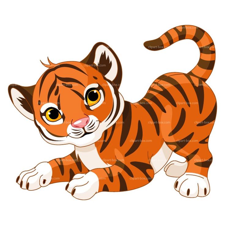 Cartoon Baby Tiger Hd Image Clipart