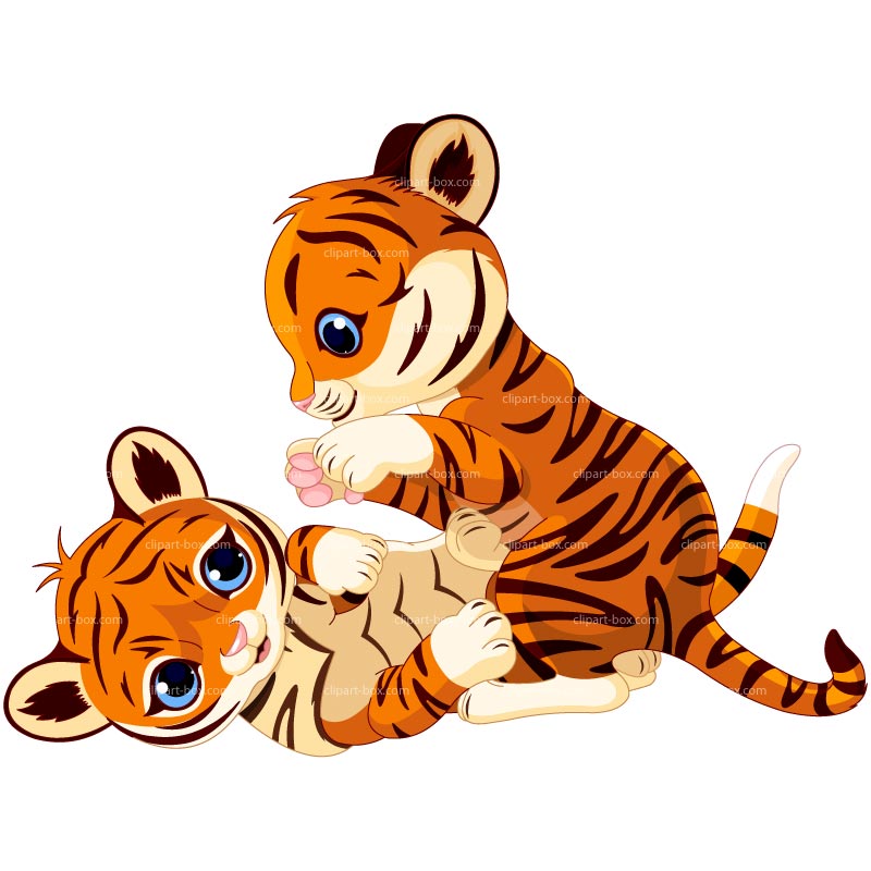 Baby Tiger Cartoon Tigers Image Wikiclipart Clipart