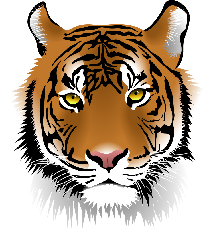 Wild Tiger Head And Others Art Inspiration Clipart