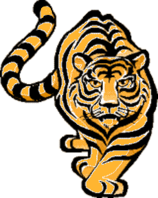 Tiger Download This Images Hd Photos Clipart