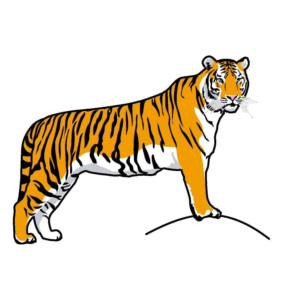 Tiger Images Free Download Clipart