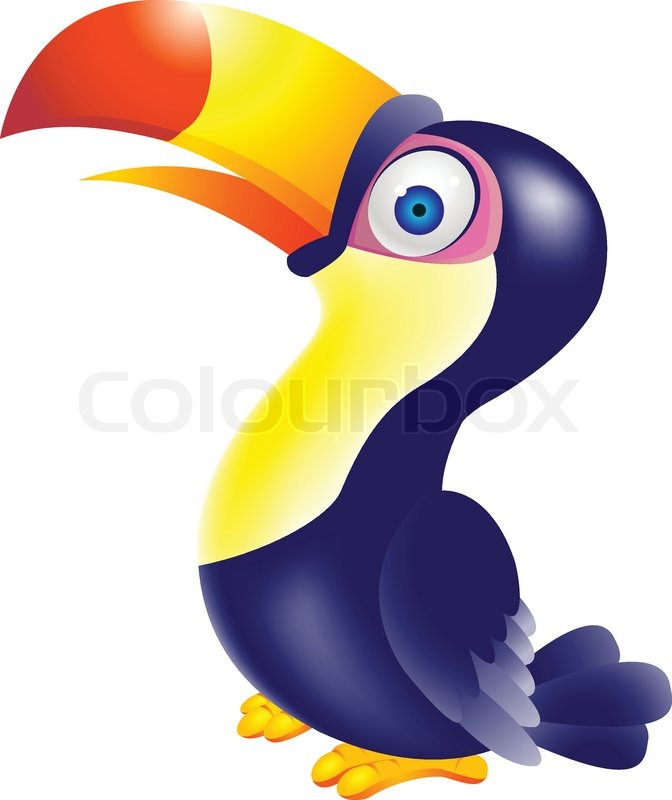 Cartoon Toucan Toucan Bird Cartoon Vector Colour Clipart