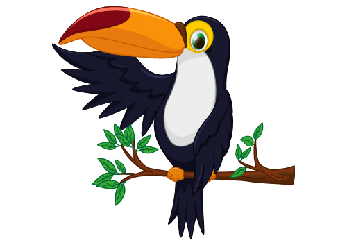 Cartoon Toucan Bird Vector Vector Animal Clipart