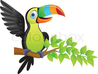 Cartoon Toucan Vector Toucan Bird Cartoon Colour Clipart