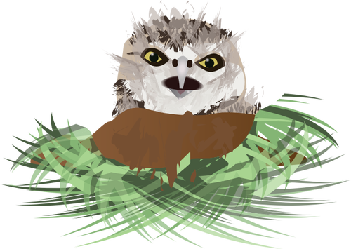 Of Burrowing Owl In Its Den Clipart