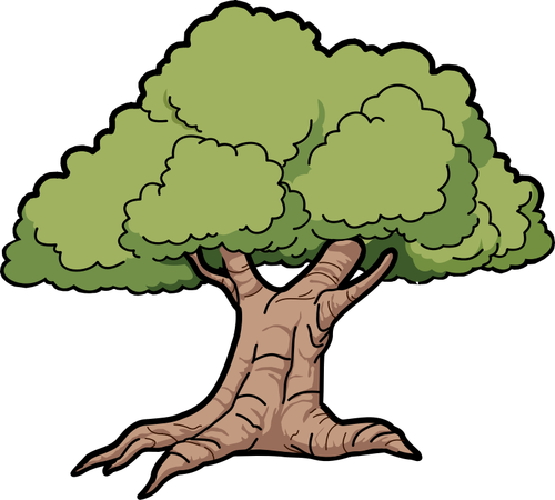 Of Wide Roots Oak Tree Clipart