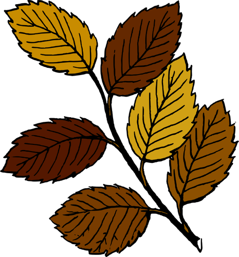 Autumn Leaves On Branch Clipart