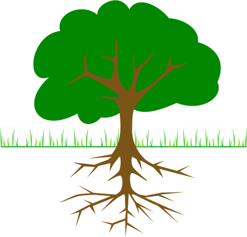 Tree Branches And Root Clipart